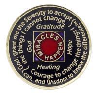 Load image into Gallery viewer, #N26. NA Medallion Out of Ashes Phoenix Yearly Medallion (Yrs 1-45)