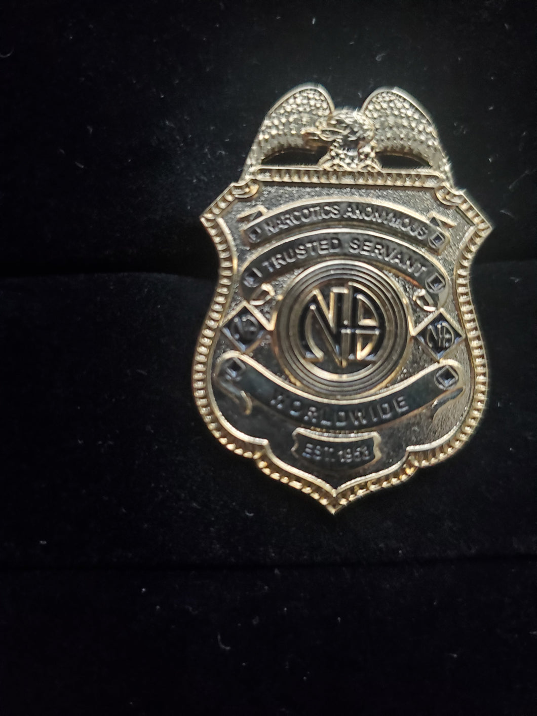 NA Badge