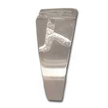 Load image into Gallery viewer, NA Initials Rectangular Ravine Textured Style Sterling Silver Mens Ring
