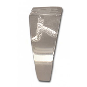 NA Initials Rectangular Ravine Textured Style Sterling Silver Mens Ring